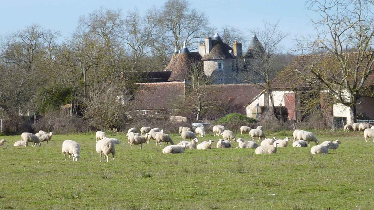 Le Logis Alexandra Bnb La Trimouille Eksteriør bilde